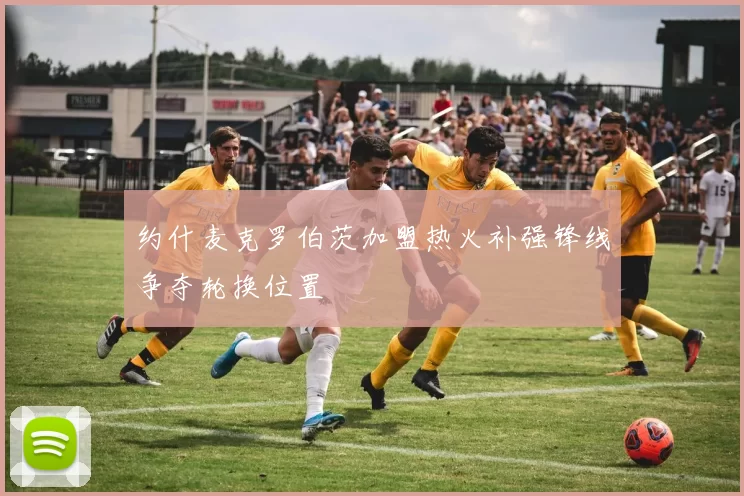 约什麦克罗伯茨加盟热火补强锋线争夺轮换位置