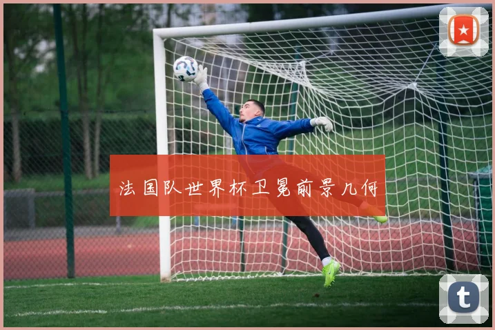 法国队世界杯卫冕前景几何