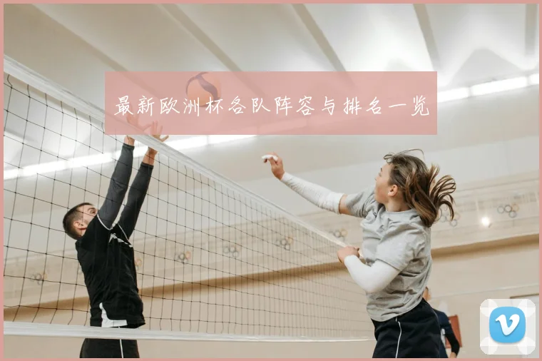 最新欧洲杯各队阵容与排名一览