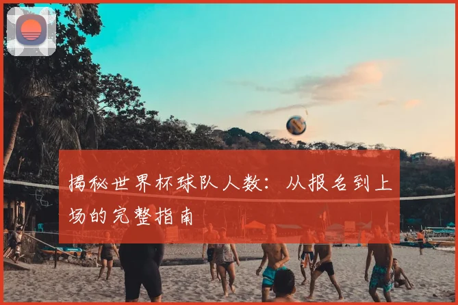 揭秘世界杯球队人数:从报名到上场的完整指南