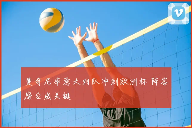 曼奇尼率意大利队冲刺欧洲杯 阵容磨合成关键