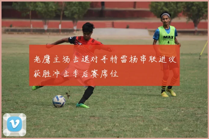 老鹰主场击退对手特雷杨串联进攻获胜冲击季后赛席位