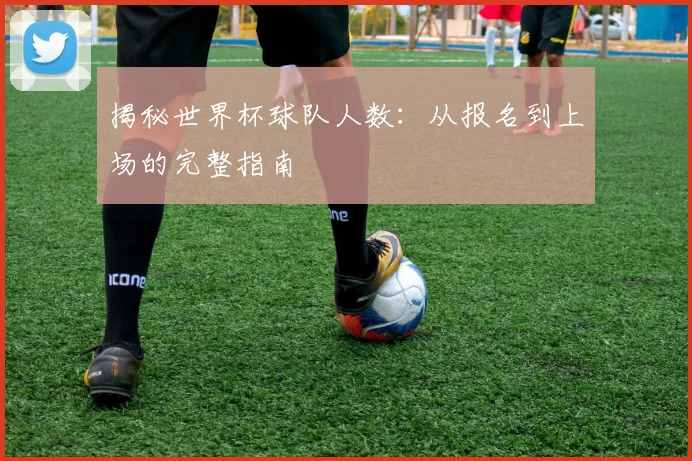 揭秘世界杯球队人数:从报名到上场的完整指南