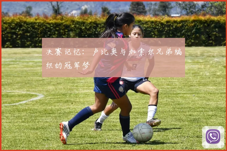 决赛记忆：卢比奥与加索尔兄弟编织的冠军梦
